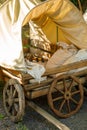 In the village there is an old wooden cart with a canopy Royalty Free Stock Photo