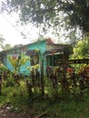 Village of Tortuguero, Houses, Costa Rica Royalty Free Stock Photo