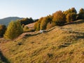 Village in Transcarpathia region scenic Carpathian mountains view Ukraine Europe Autumn countryside landscape Recreation