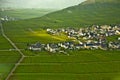 village of Trittenheim in the vineyards at the river Mosel