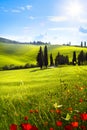 Village in tuscany; Italy countryside landscape with red poppy f