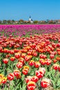 Skyline Den Hoorn Texel the Netherlands Royalty Free Stock Photo