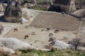 Village view of Goreme in Cappadocia with horses.Beautiful natural terrain and the beauty of the UNESCO World Heritage landscape.