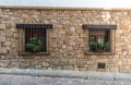 Village window with the red flowers