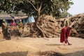 The village women thrash paddy with traditional machine.