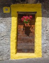 Village wooden rustic door with yellow frame and flower pot