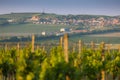 village Zajeci with vineyards, Southern Moravia, Czech Republic