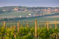 village Zajeci with vineyards, Southern Moravia, Czech Republic