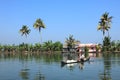 A villager rows a traditional boat in the backwaters