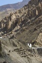 Villager taking Sheeps for Grazing at Dhankar,Spiti valley,Himachal Pradesh,India Royalty Free Stock Photo