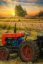 Villagers harvest rice during a beautiful sunset in northeast China. Royalty Free Stock Photo