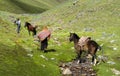 Villagers with horses in Andes