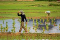 Villagers in Laos working in the fields