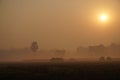 The villages of Bangladesh are covered in fog on winter mornings.The sun is coming up