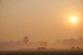 The villages of Bangladesh are covered in fog on winter mornings.The sun is coming up