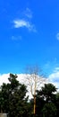 Villages blue sky in winter season