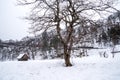 Villages of Shirakawago and Gokayama are one of Japan's UNESCO World Heritage Sites. Farm house in the village and mountain behin Royalty Free Stock Photo