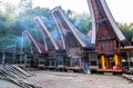 The villages at Tana Toraja, Sulawesi