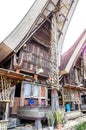 The villages at Tana Toraja, Sulawesi