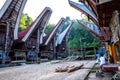 The villages at Tana Toraja, Sulawesi