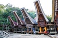 The villages at Tana Toraja, Sulawesi