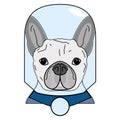 Villain symbol with glass globe, cape in gray and blue as French bulldog character on white background