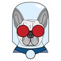 Villain symbol with glass globe, red glasses and cape in red , gray and blue as French bulldog character