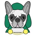Villain symbol with hood, cape witch gold chains , in green, yellow, and gray as French bulldog character on white background