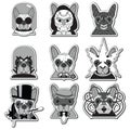 Villains Anti Heroes French Bulldogs icons label style in black , white and gray Royalty Free Stock Photo