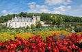 Villandry castle in bloom