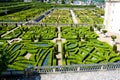 Villandry Castle& x27;s garden, Indre-et-Loire, Centre, France