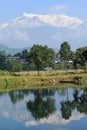 Villiage under Himalayan mountain Royalty Free Stock Photo