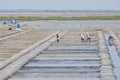 Workers on the salt flats in Tamil Nadu