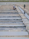 Working on the Tamil Nadu salt plains