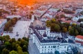 Vilnius Cathedral aerial Royalty Free Stock Photo