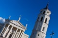 Vilnius Cathedral Royalty Free Stock Photo