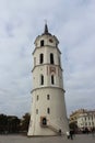 Vilnius Cathedral-Basilyka in Lithuania Royalty Free Stock Photo