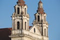 Vilnius cathedral detailk