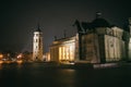 Vilnius Cathedral Square at winter night Royalty Free Stock Photo