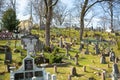 VILNIUS, LITHUANIA - APRIL 15, 2021: Blue scilla siberica spring flowers blossoming in Bernardine cemetery, one of the three