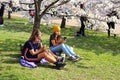 Vilnius, Lithuania - 04 22 2019: Girls sitting under a sakura tree with their cell phones