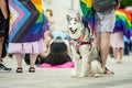 VILNIUS, LITHUANIA - JULY 1, 2023: Happy cheerful people participating in Vilnius Pride 2023 parade, that took place in Vilnius