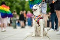 VILNIUS, LITHUANIA - JULY 1, 2023: Happy cheerful people participating in Vilnius Pride 2023 parade, that took place in Vilnius