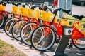 Vilnius, Lithuania. Row Of Colorful Bicycles AVIVA For Rent At Municipal Bike Parking In Street. Summer Day Royalty Free Stock Photo