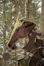 Creepy horse face in a wood