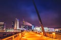 Vilnius skyline at night