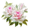 Vinage white pink roses.