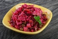 Vinagrette russian salad Royalty Free Stock Photo