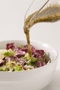 Vinaigrette dressing. Royalty Free Stock Photo