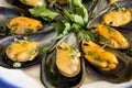 Vinaigrette mussels salad Royalty Free Stock Photo